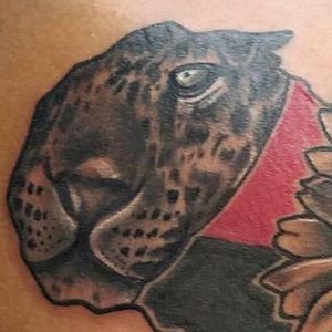 Meet your Posher, Alexandria